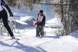 Lenk 2013